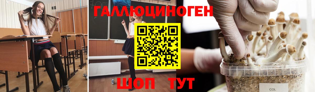 Псилоцибиновые грибы мицелий  Вход с VPN  где найти наркотики  Кандалакша  Псилоцибиновые грибы прущие грибы 